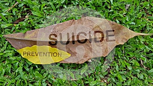 Suicide Prevention concept using dried leaves