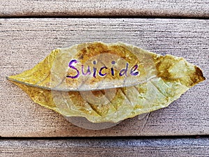 Suicide written on leaf