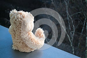 Suicide young kids bear sit on a ledge closeup