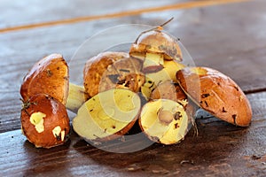 Suillus collected on a table