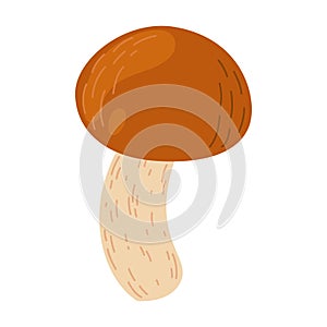 Suillus mushroom. Edible fungus. Cartoon flat style isolated on the white