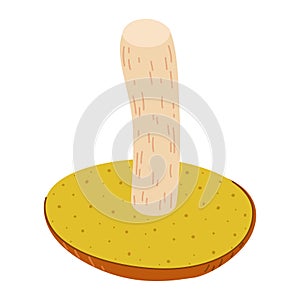 Suillus mushroom. Edible fungus. Cartoon flat style isolated on the white