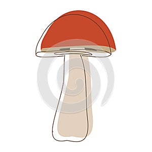 Suillus mushroom lineart. Edible Organic mushrooms. Truffle brown cap. Forest wild mushrooms types