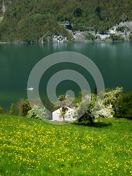Suiss walensee traditional spring landscape