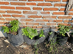 Suitable for article illustrations, anthropological research, or creative projects with urban life themes.