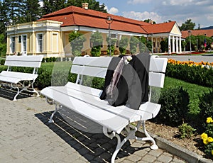 Suitcase and building in piestany