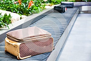 suitcase on a conveyor belt surrounded by green tropical plants in a baggage claim area at the airport