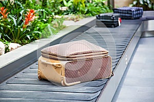 suitcase on a conveyor belt surrounded by green tropical plants in a baggage claim area at the airport