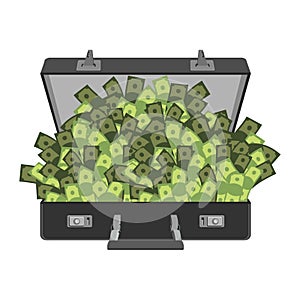 Suitcase of money isolated. Case cash. Vector illustration