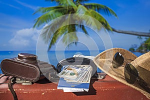 Suitcase, sun hat, photo camera, american money, passport and sunglasses with sea water, coconut palm tree and blue sky background