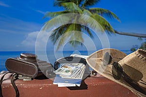 Suitcase, sun hat, photo camera, american money, passport and sunglasses with sea water, coconut palm tree and blue sky background