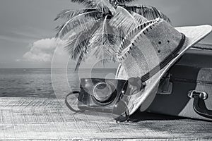 Suitcase, sun hat, photo camera and sunglasses with sea water, coconut palm tree and sky background on summer day in tropical