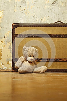 Suitcase with Teddy