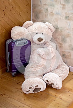 Suitcase and a traveling teddy bear