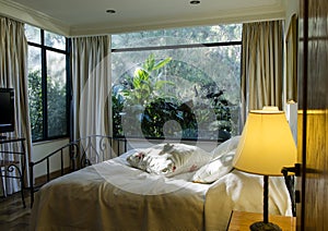 Suite Master bedroom