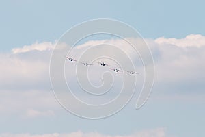 Sukhoi SU-30 Flanker-C, aerobatic team Russian Knights