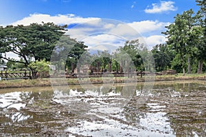 Sukhothai