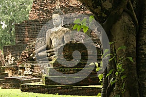 Sukhothai jungle temple ruins buddha thailand