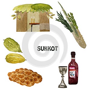 Sukkot, a Jewish holiday. With the image of Etrog, lulav, hadas, arava. Hand drawn illustration.