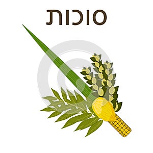 Sukkot. Judaic holiday. Traditional symbols - Etrog, lulav, hadas, arava. Hebrew text - Sukkot