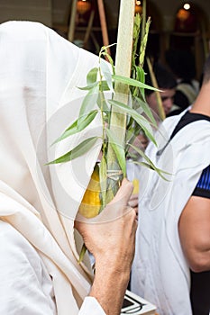 Sukkot. Man holding a lulav and etrog in synagogue