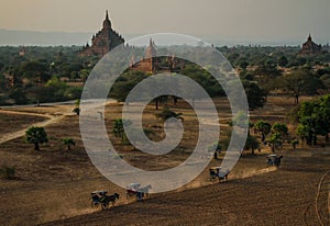 Sulamani temple from top of Pyathatgyi pagoda at sunset, bagan, Mandalay region, Myanmar