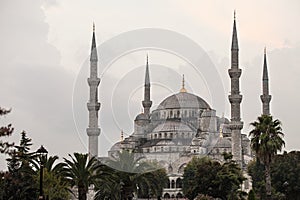 Suleymaniye mosque in Istanbul with palm trees in the foreground. Cloudy weather