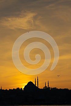 Suleymaniye Mosque at sunset vertical photo. Ramadan or islamic concept photo