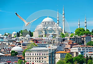 Suleymaniye Mosque in Turkey photo