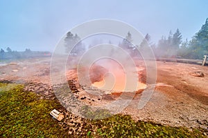 Sulfer steam over muddy spring in Yellowstone