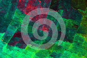 Sulfur crystals under the microscope