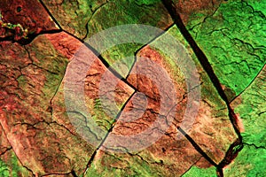 Sulfur crystals under the microscope