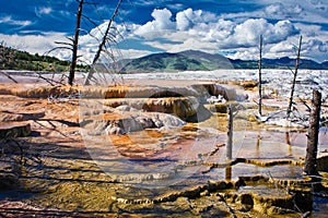 Sulfur terraces in Mammoth Hot Springs town, Yellowstone NP, US