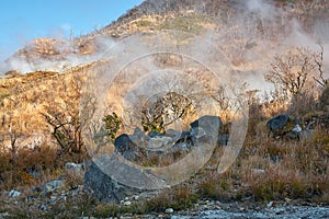 The sulfurous fumes on the slope of Owakudani  Valley.  Hakone area. Honshu. Japan