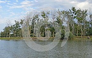 Sulina Danube delta orest