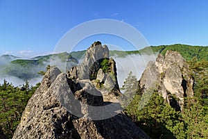 Súľovské skaly, Národná prírodná rezervácia Súľovské skaly, Slovensko. Hmlisté ráno, modrá obloha bez mráčika.
