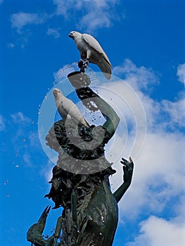 Sulphur Crested Cockatoos Balancing on a Ornate Fountain.
