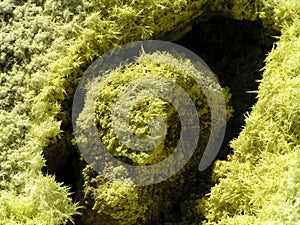 Sulphur crystals around the volcanic hole