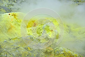 Sulpur and steam vents on White Island, New Zealand`s most active cone volcano