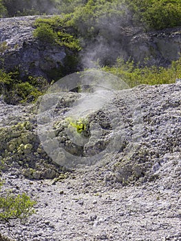 Sulpur steaming rising out of the ground in Waiotapu reserve New Zealand photo