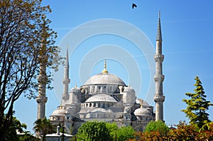 Sultan Ahmed Mosque