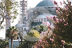 Sultan Ahmed Mosque that also known as the Blue Mosque. One of the most popular sights in Istanbul. View from the garden