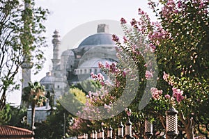 Sultan Ahmed Mosque that also known as the Blue Mosque. One of the most popular sights in Istanbul. View from the garden