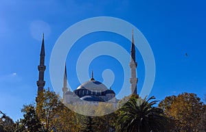 The Sultan Ahmed Mosque detail