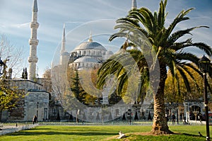Sultan Ahmet Camii named Blue Mosque, Istanbul, Turkey