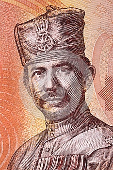 Sultan Hassanal Bolkiah portrait