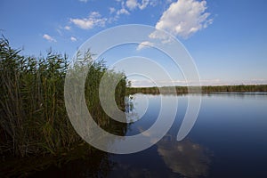 Sultan Marshes are located in the triangle formed by Develi