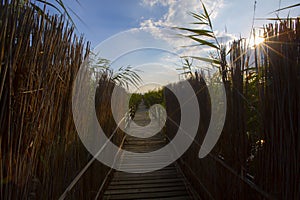 Sultan Marshes are located in the triangle formed by Develi