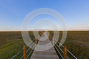 Sultan Marshes are located in the triangle formed by Develi