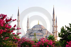 Sultanahmet, Blue Mosque